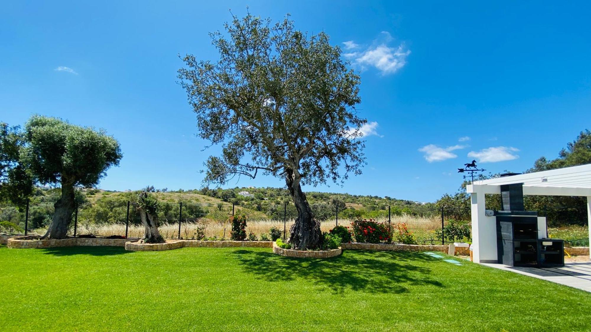 Eden CIP Villa Albufeira Dış mekan fotoğraf